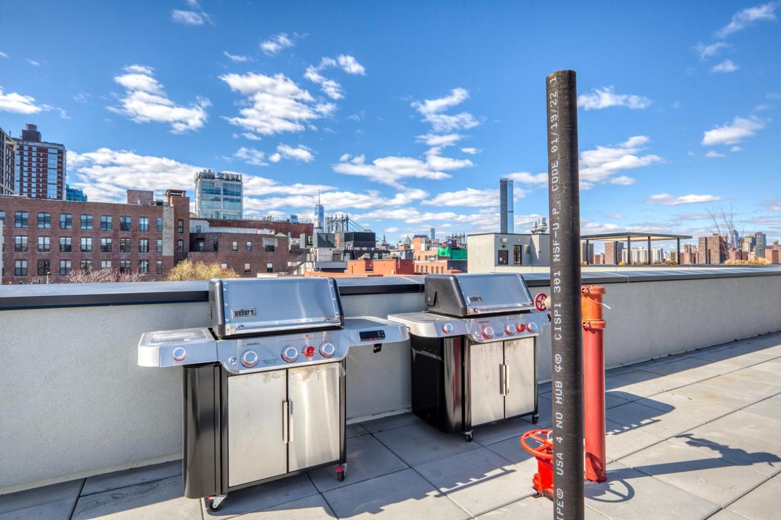 Dumbo 2br W Wd Roof Gym Nr Timeout Building Nyc-960 Appartement *